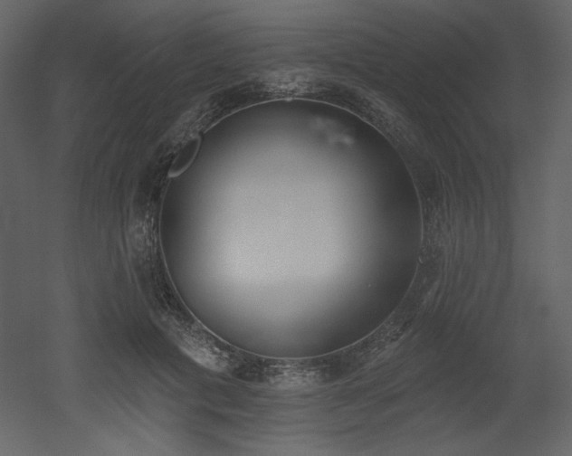 X0000053000601200507081235
