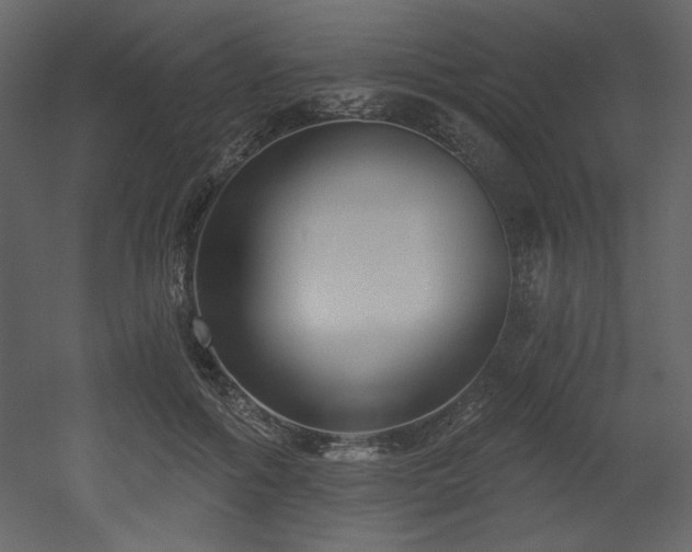 X0000053000602200507081235