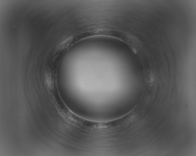 X0000053000607200507081235