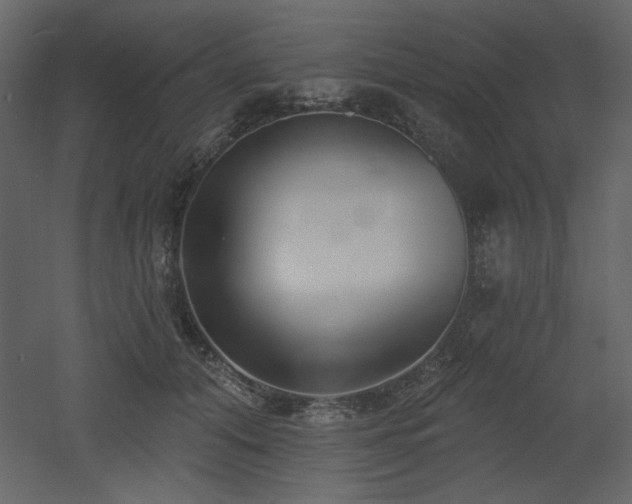 X0000053000608200507081235
