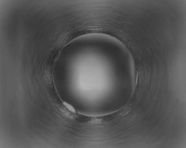 X0000053000609200507081235