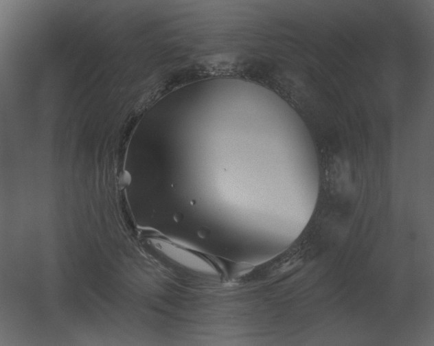 X0000053000610200507081235