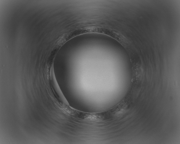 X0000053000611200507081235