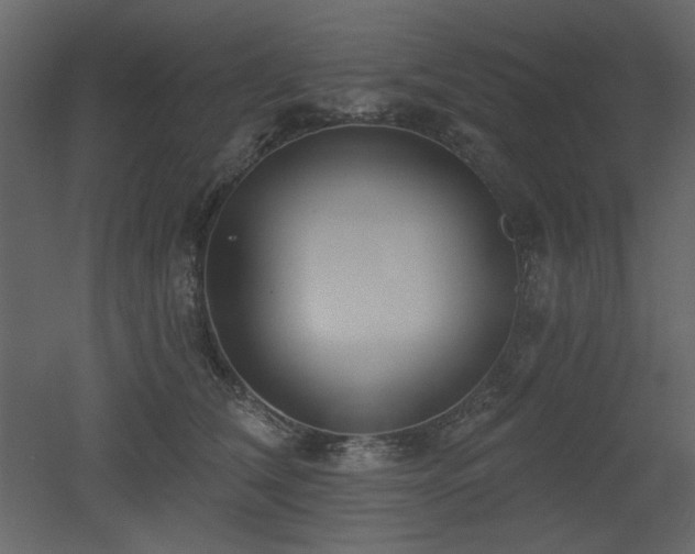 X0000053000612200507081235