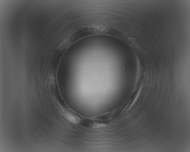 X0000053000613200507081235
