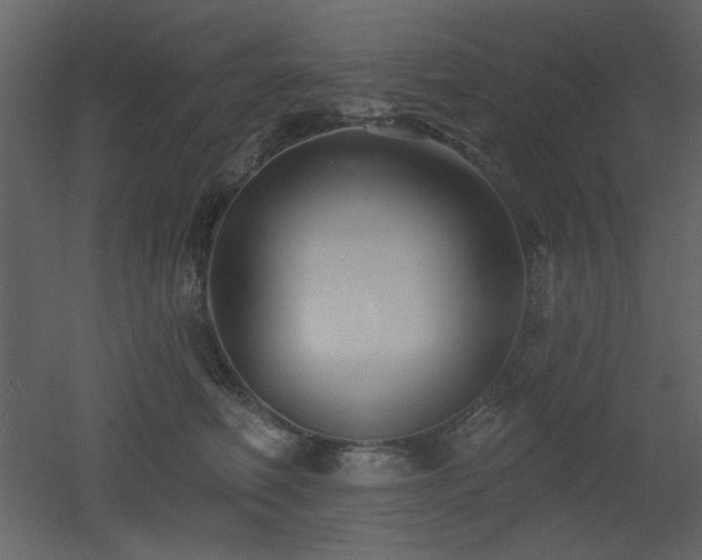 X0000053000614200507081235