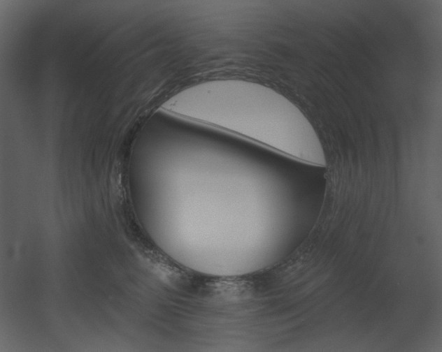 X0000053000615200507081235