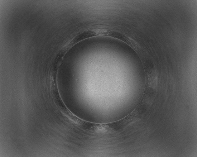X0000053000618200507081235