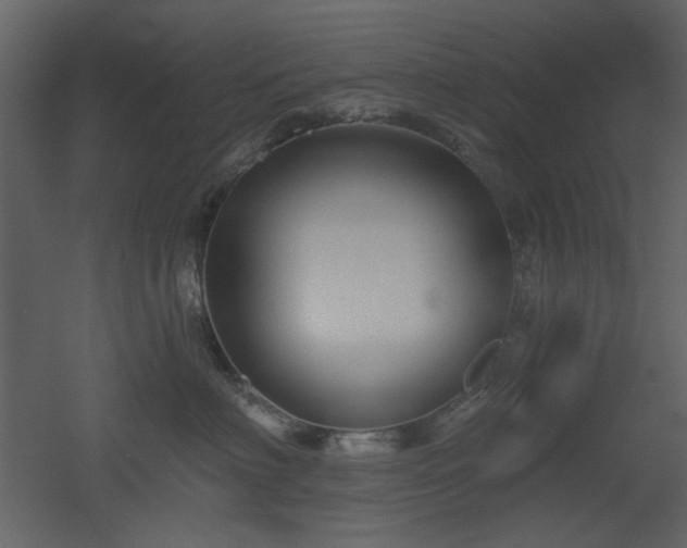 X0000053000622200507081235