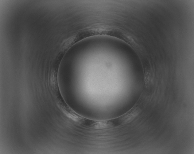 X0000053000623200507081235