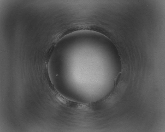 X0000053000624200507081235