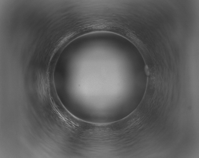 X0000053000626200507081234