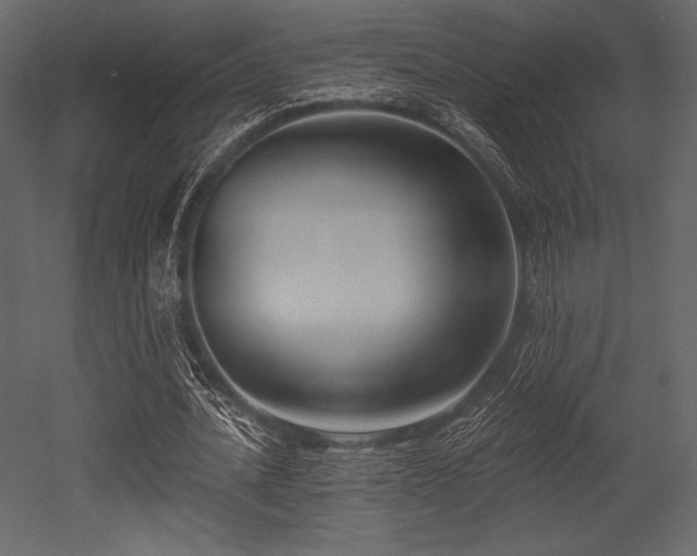 X0000053000628200507081234