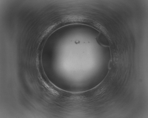 X0000053000629200507081234