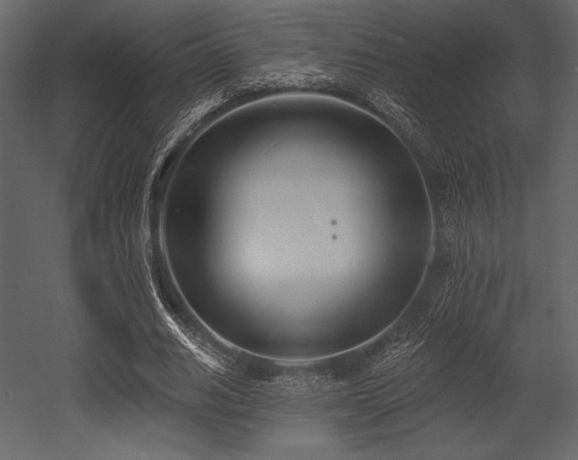 X0000053000630200507081234