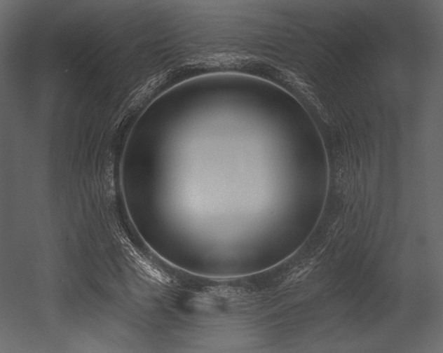 X0000053000633200507081234