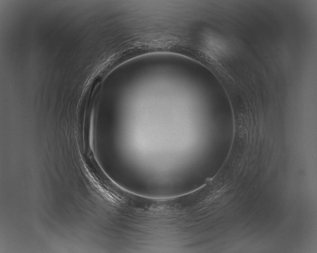 X0000053000634200507081234