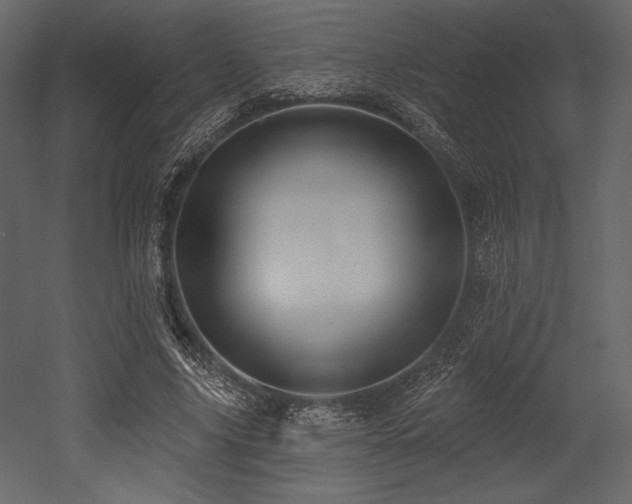 X0000053000635200507081234
