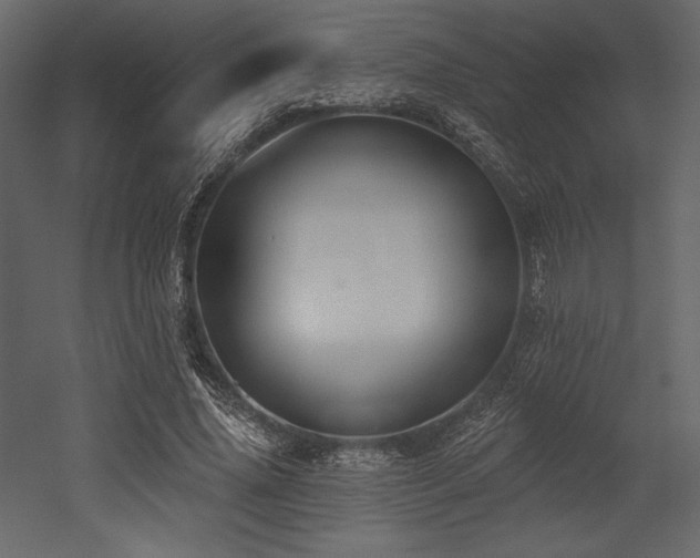 X0000053000636200507081234