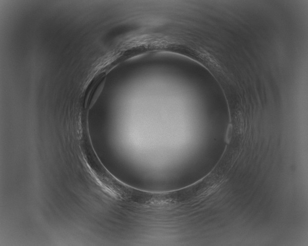 X0000053000638200507081234