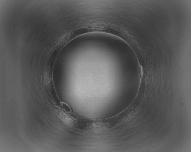 X0000053000641200507081234