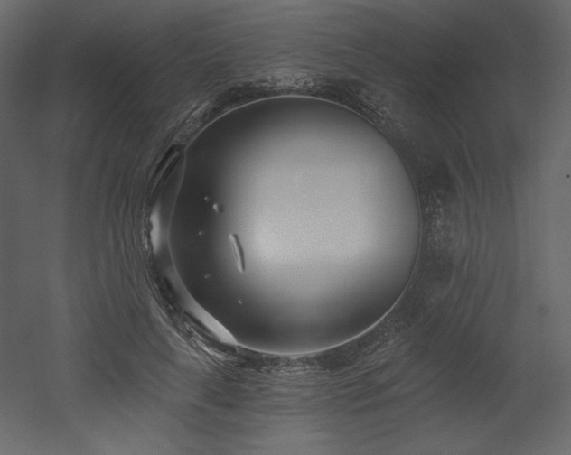 X0000053000643200507081234