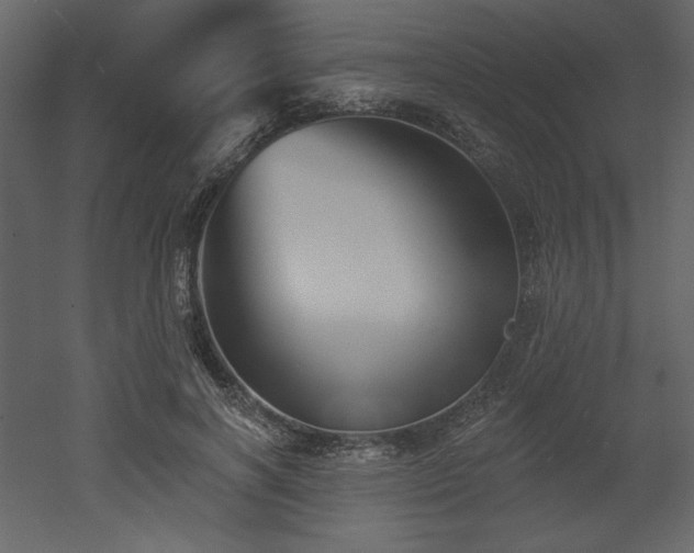 X0000053000646200507081234
