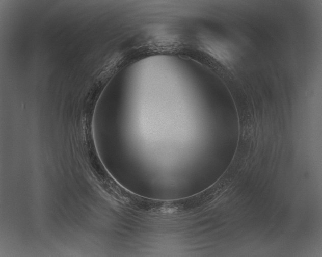 X0000053000647200507081234