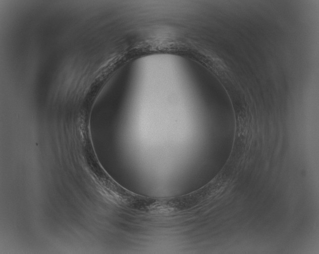 X0000053000648200507081234