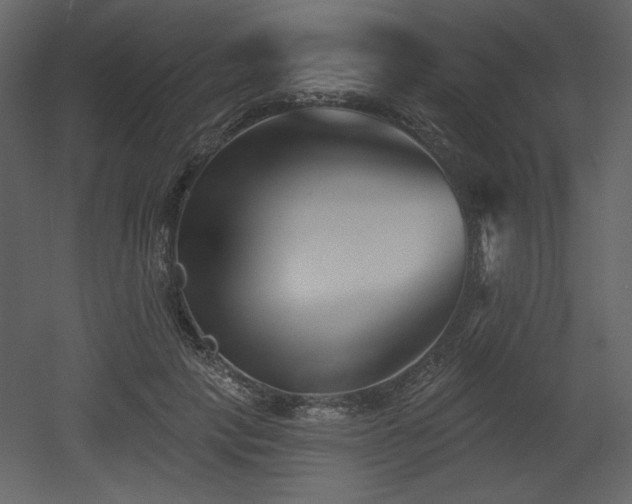 X0000053000649200507081234