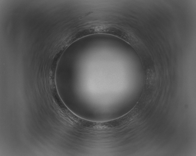 X0000053000650200507081234