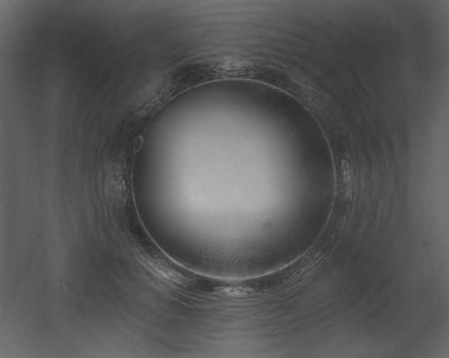 X0000053000654200507081234