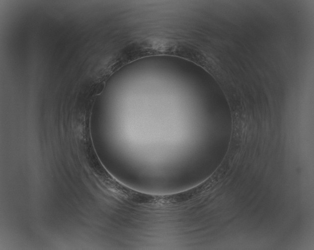 X0000053000656200507081234