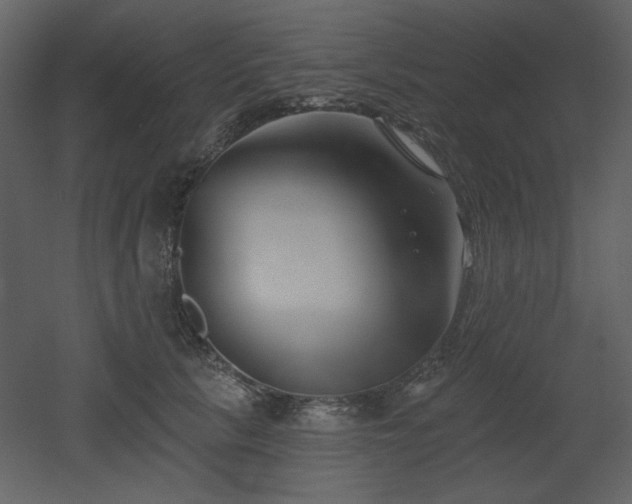 X0000053000657200507081234