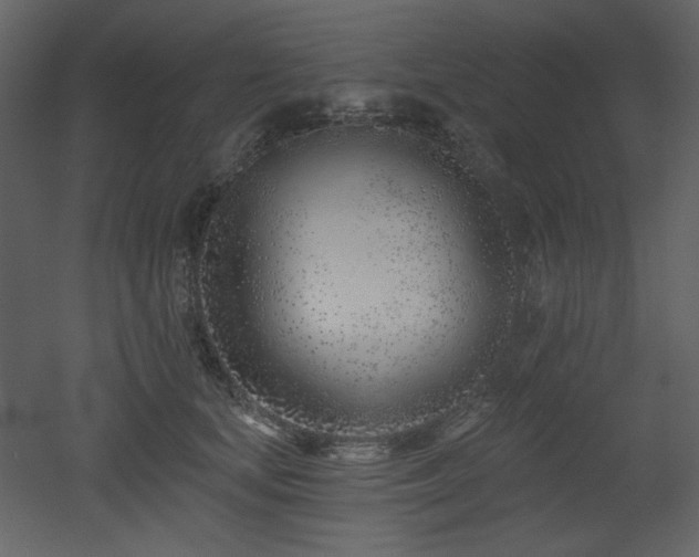 X0000053000659200507081235