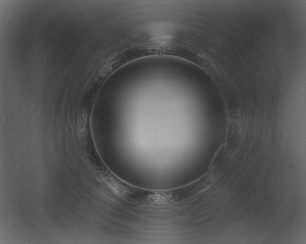 X0000053000660200507081235