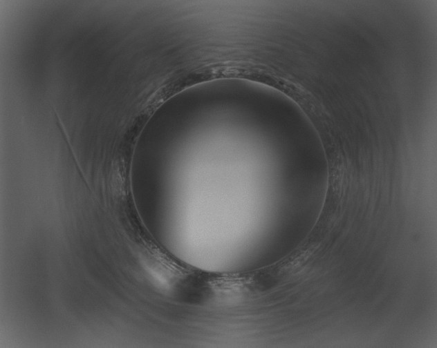 X0000053000661200507081235