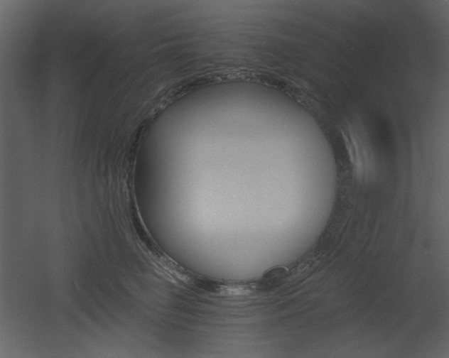 X0000053000662200507081235