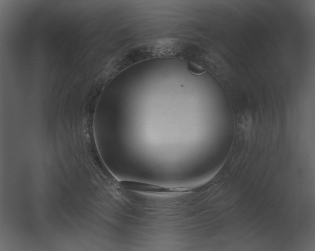 X0000053000663200507081235