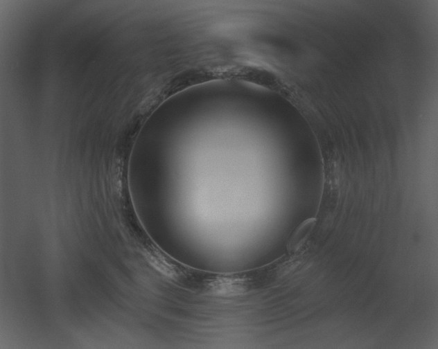 X0000053000664200507081235