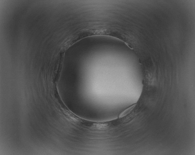 X0000053000665200507081235