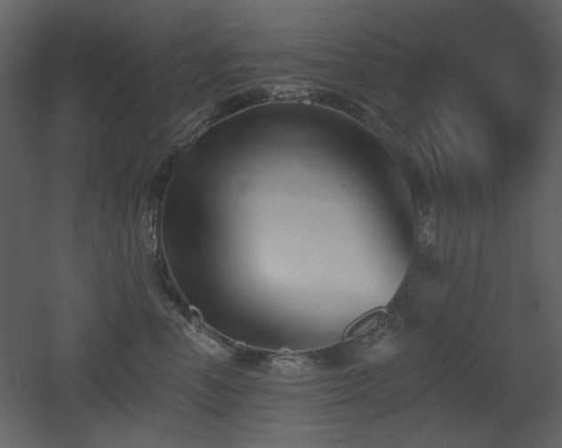 X0000053000666200507081235