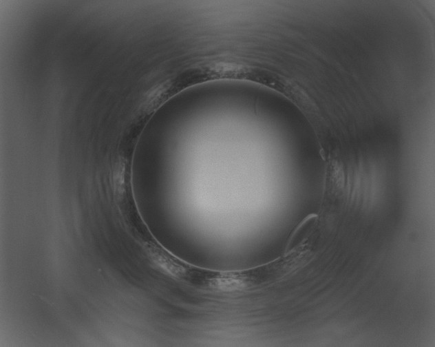 X0000053000668200507081235