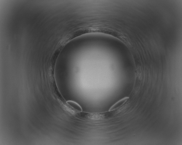 X0000053000670200507081235