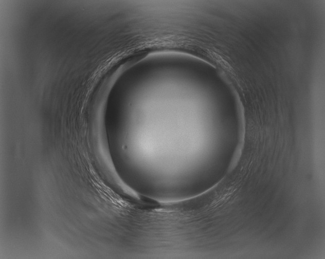 X0000053000673200507081234