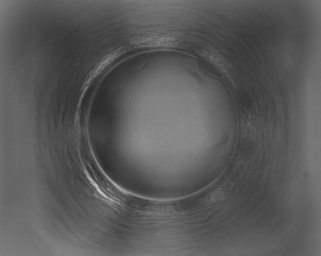 X0000053000674200507081234