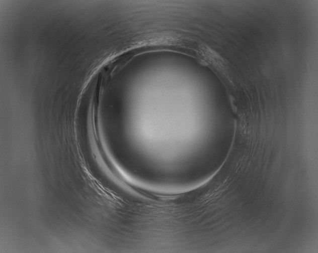 X0000053000676200507081234