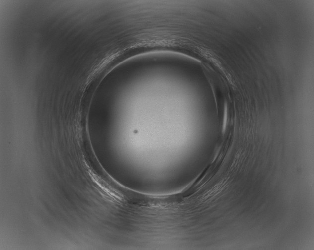 X0000053000677200507081234