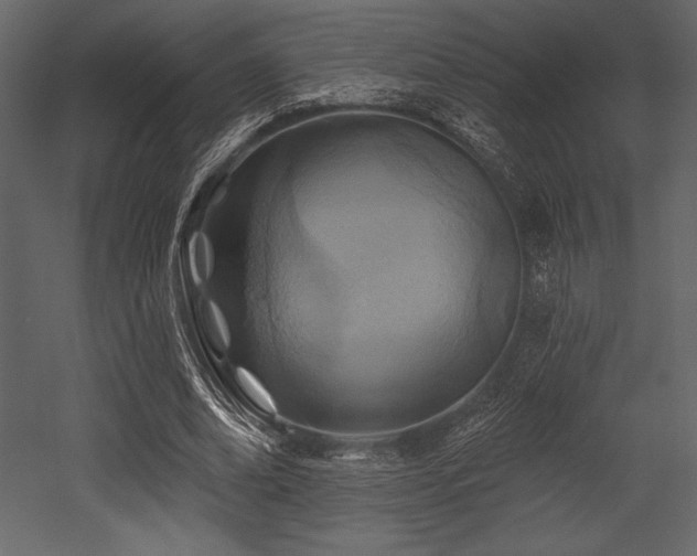 X0000053000678200507081234