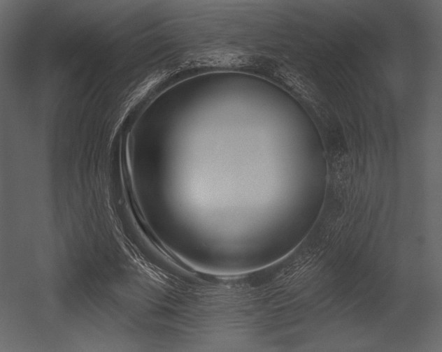 X0000053000679200507081234